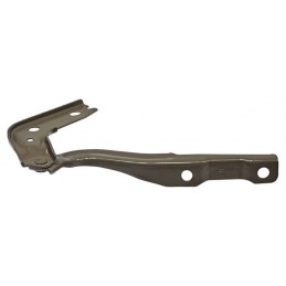 BISAGRA COFRE MG GT 22-24 IZQ