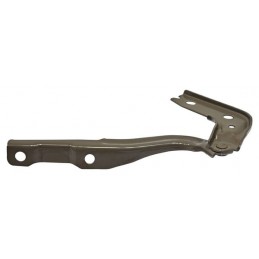 BISAGRA COFRE MG GT 22-24 DER