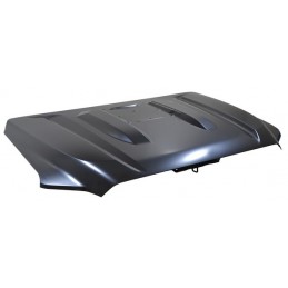 COFRE TACOMA 24-25 P/TOMA DE AIRE ALUMINIO